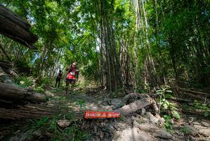 BIB: 
                            <button type="button" onclick="openModal(19394029)" class="btn btn-primary btn-sm float-right btn-popup" data-toggle="modal" data-target=".modal-high-quality">
                        <i class="fas fa-shopping-cart"></i> Add to Cart
                    </button>
                                            <button type="button" onclick="isThisMe(19394029, true)" class="btn btn-success btn-sm float-right btn-popup btn-isme hidden" data-toggle="tooltip" data-placement="bottom" title="นี่คือรูปของคุณใช่ไหม คลิกที่นี่เพื่อเอาเข้าอัลบั้ม">
                        <i class="fas fa-plus"></i> Add to album
                    </button>
                    <button type="button" onclick="isThisMe(19394029, false)" class="btn btn-warning btn-sm float-right btn-popup btn-isnotme hidden">
                        <i class="fas fa-ban"></i> Remove from album
                    </button>